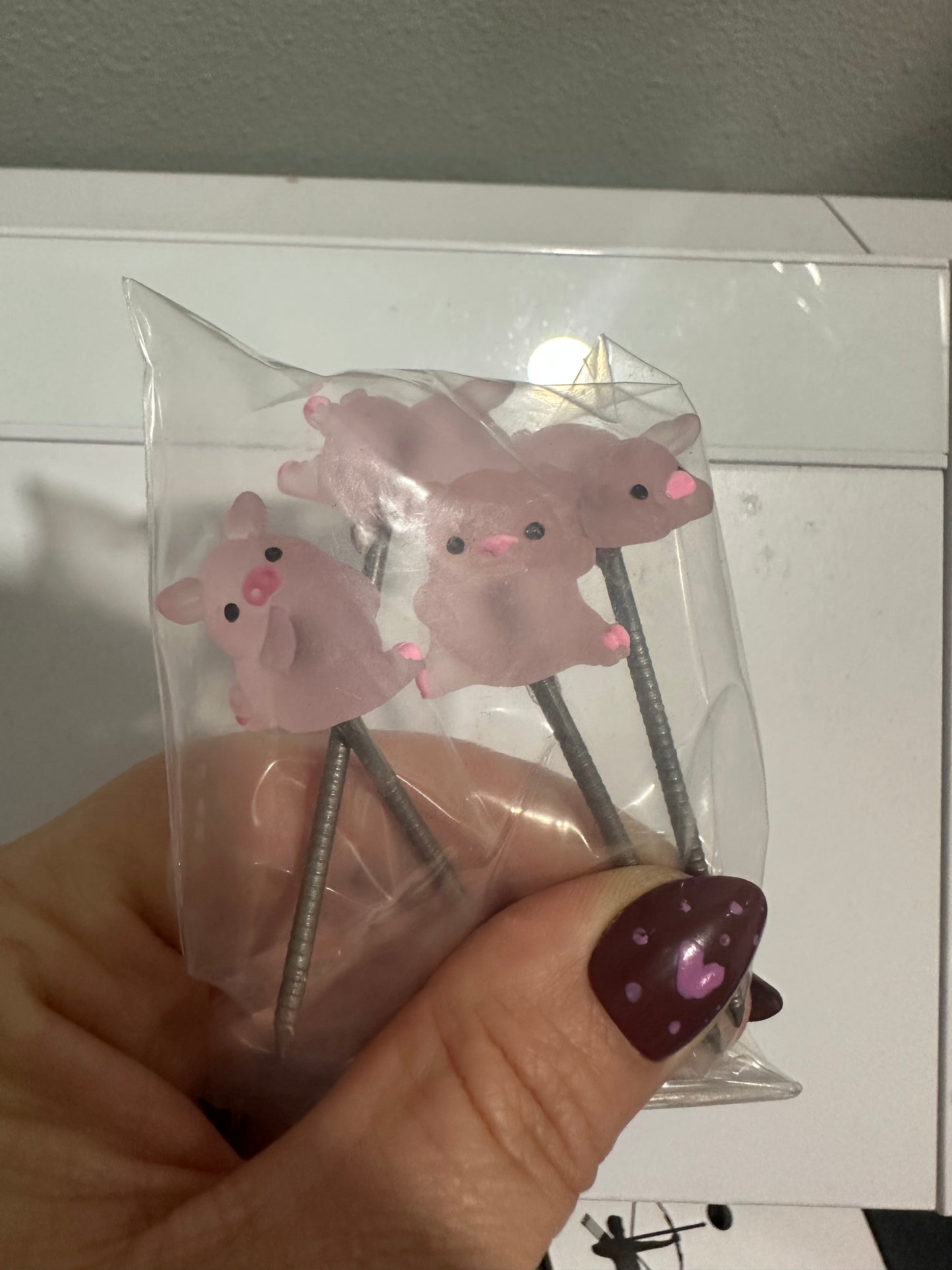 Lounging Piggies