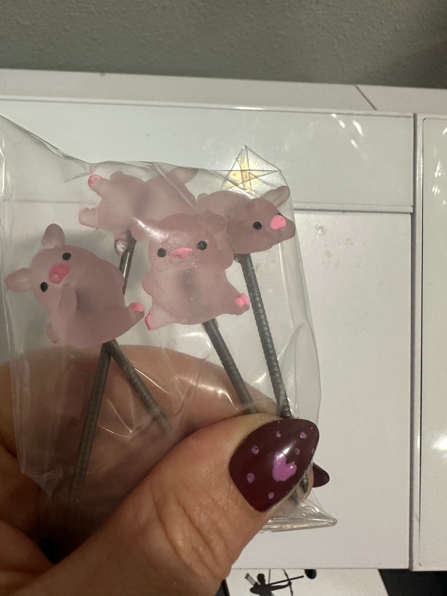 Lounging Piggies