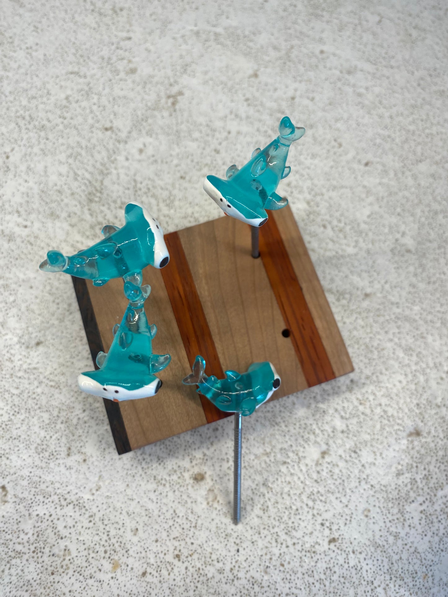 Hammer-Head Sharks!
