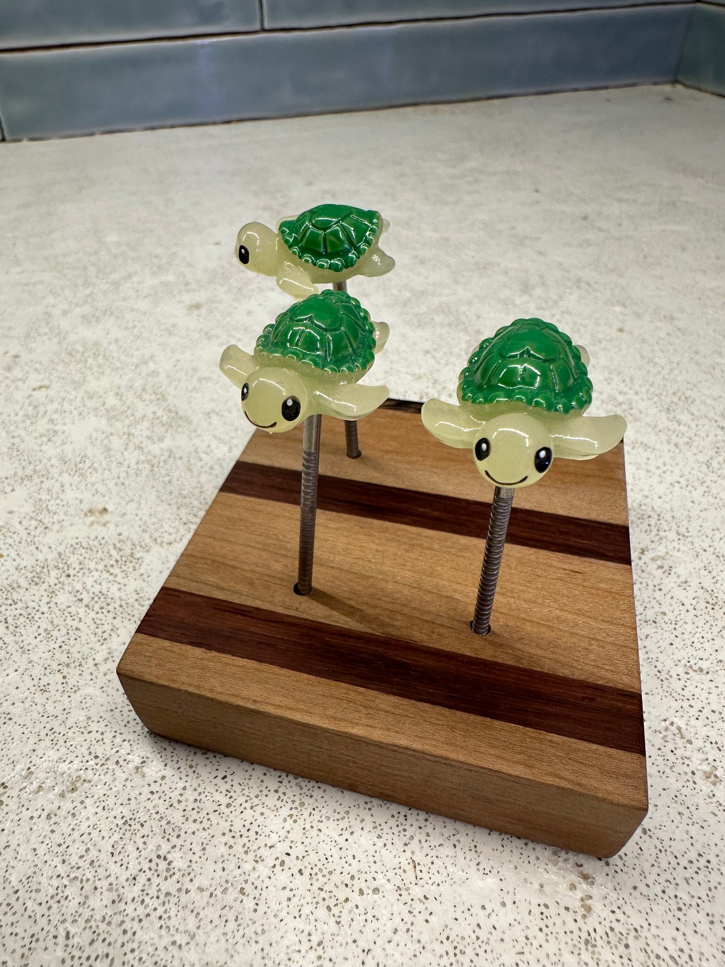 Sea Turtle